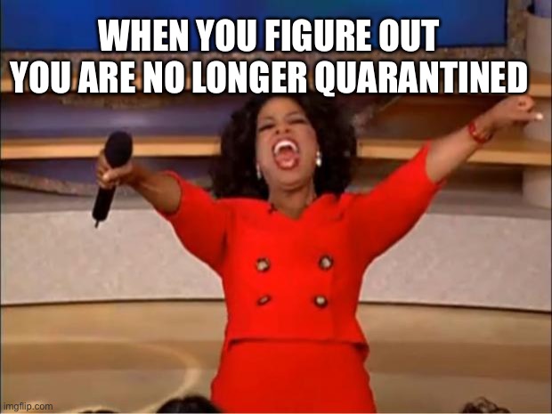 Oprah You Get A | WHEN YOU FIGURE OUT YOU ARE NO LONGER QUARANTINED | image tagged in memes,oprah you get a | made w/ Imgflip meme maker