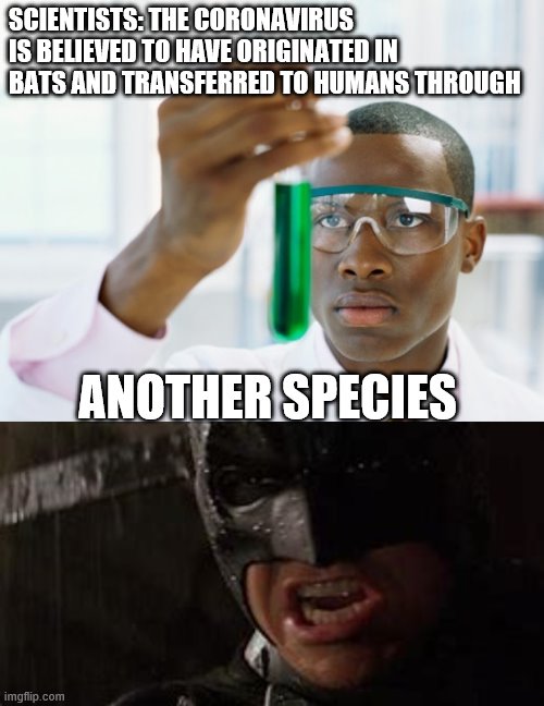 SCIENTISTS: THE CORONAVIRUS IS BELIEVED TO HAVE ORIGINATED IN BATS AND TRANSFERRED TO HUMANS THROUGH; ANOTHER SPECIES | image tagged in black scientist finally xium | made w/ Imgflip meme maker