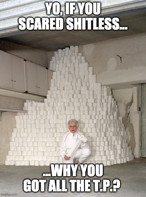 mountain of toilet paper | YO, IF YOU SCARED SHITLESS... ...WHY YOU GOT ALL THE T.P.? | image tagged in mountain of toilet paper | made w/ Imgflip meme maker