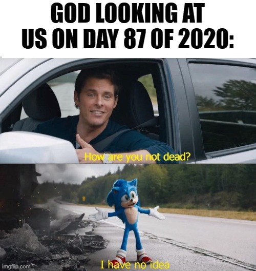 sonic how are you not dead | GOD LOOKING AT US ON DAY 87 OF 2020: | image tagged in sonic how are you not dead | made w/ Imgflip meme maker