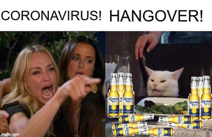 Woman Yelling at Drunk Cat | image tagged in covid-19,coronavirus,memes,woman yelling at cat | made w/ Imgflip meme maker
