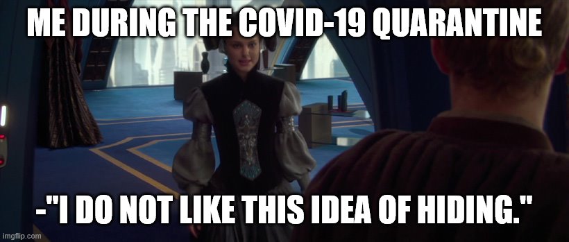 ME DURING THE COVID-19 QUARANTINE; -"I DO NOT LIKE THIS IDEA OF HIDING." | image tagged in star wars | made w/ Imgflip meme maker