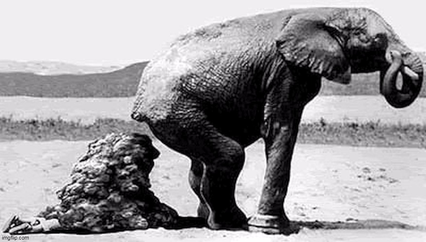 GOP Republican Fake News - Elephant shit | image tagged in gop republican fake news - elephant shit | made w/ Imgflip meme maker