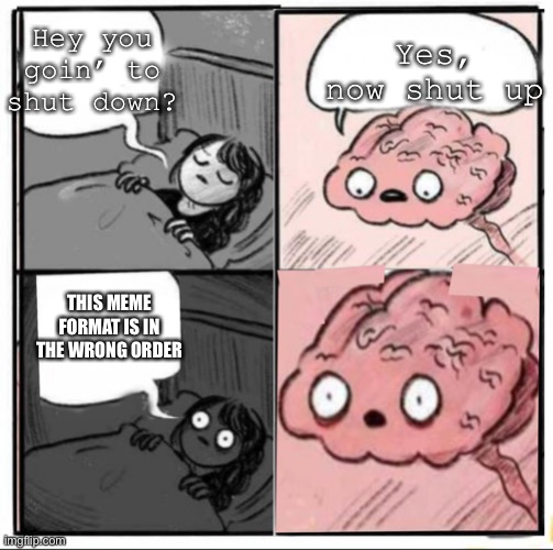 wait doesn’t the brain control the voice of a person | Yes, now shut up; Hey you goin’ to shut down? THIS MEME FORMAT IS IN THE WRONG ORDER | image tagged in memes,funny,unexpected,hey you going to sleep | made w/ Imgflip meme maker