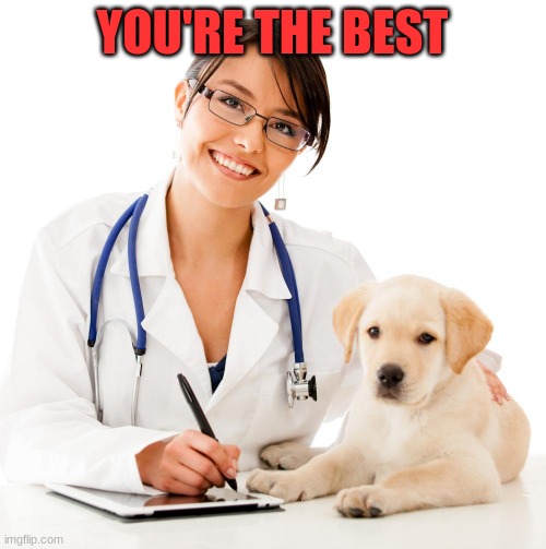 Veterinarian | YOU'RE THE BEST | image tagged in veterinarian | made w/ Imgflip meme maker