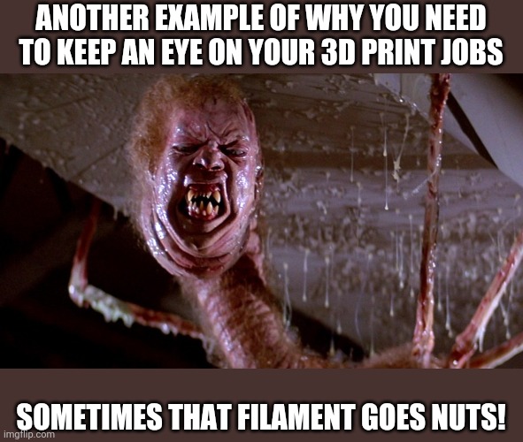 Giving a shout out to 3D printer hobbyist! | ANOTHER EXAMPLE OF WHY YOU NEED TO KEEP AN EYE ON YOUR 3D PRINT JOBS; SOMETIMES THAT FILAMENT GOES NUTS! | image tagged in printer,3d printing | made w/ Imgflip meme maker