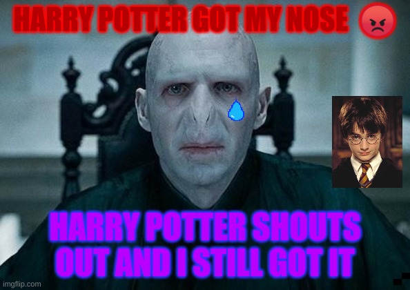 Lord Voldemort | HARRY POTTER GOT MY NOSE  😡; HARRY POTTER SHOUTS OUT AND I STILL GOT IT | image tagged in lord voldemort | made w/ Imgflip meme maker