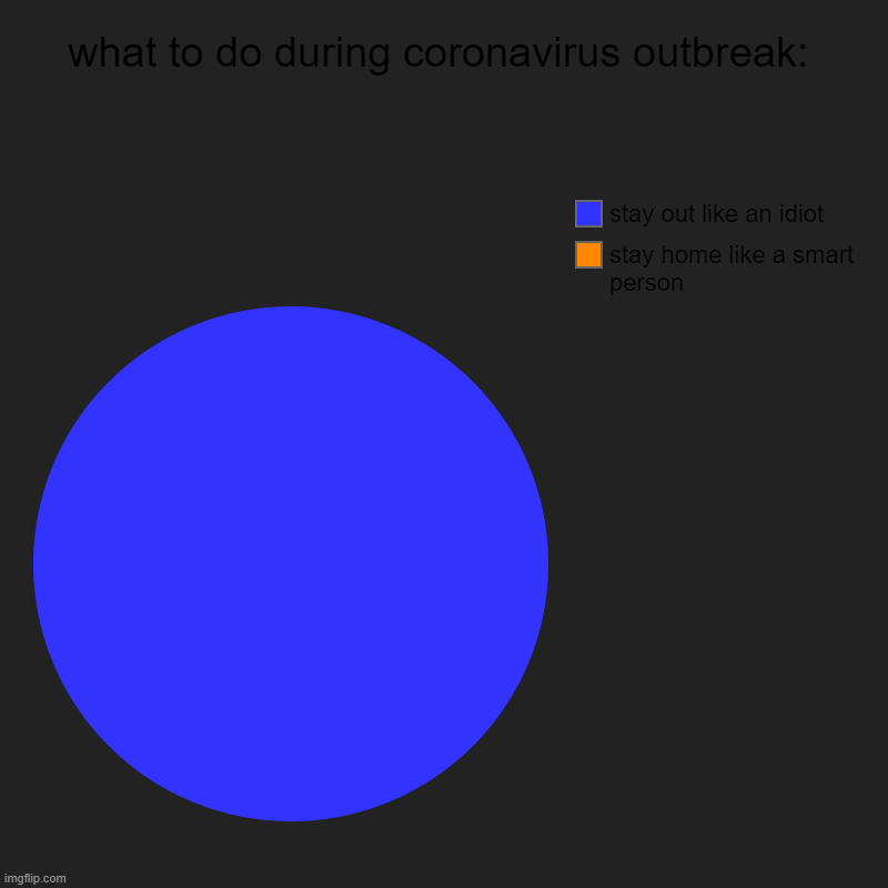 what to do during coronavirus outbreak: | stay home like a smart person, stay out like an idiot | image tagged in charts,pie charts | made w/ Imgflip chart maker