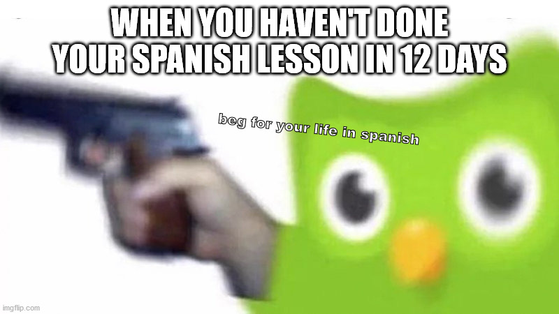 duolingo gun | WHEN YOU HAVEN'T DONE YOUR SPANISH LESSON IN 12 DAYS; beg for your life in spanish | image tagged in duolingo gun | made w/ Imgflip meme maker