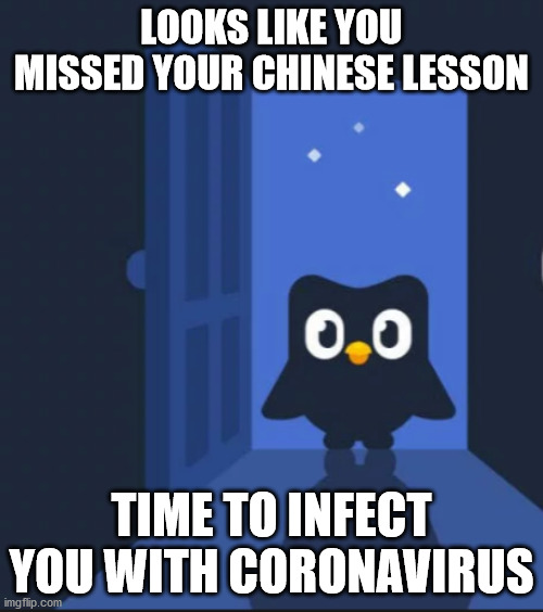 Duolingo bird | LOOKS LIKE YOU MISSED YOUR CHINESE LESSON; TIME TO INFECT YOU WITH CORONAVIRUS | image tagged in duolingo bird | made w/ Imgflip meme maker