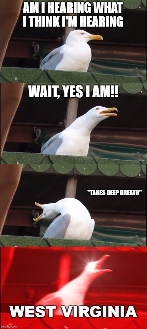 Inhaling Seagull | AM I HEARING WHAT I THINK I'M HEARING; WAIT, YES I AM!! "TAKES DEEP BREATH"; WEST VIRGINIA | image tagged in memes,inhaling seagull | made w/ Imgflip meme maker