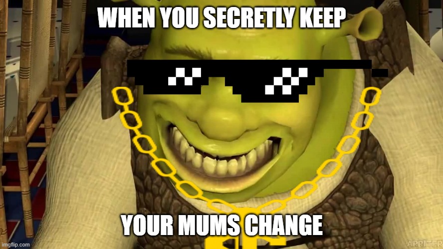 WHEN YOU SECRETLY KEEP; YOUR MUMS CHANGE | image tagged in shrek,cool | made w/ Imgflip meme maker