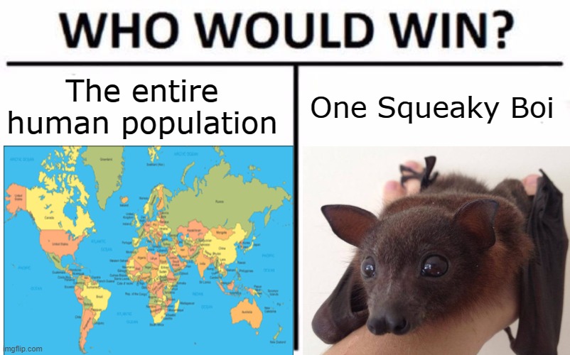 Making some coronavirus memes | The entire human population; One Squeaky Boi | image tagged in meme,coronavirus,bats,funny,who would win,lol | made w/ Imgflip meme maker