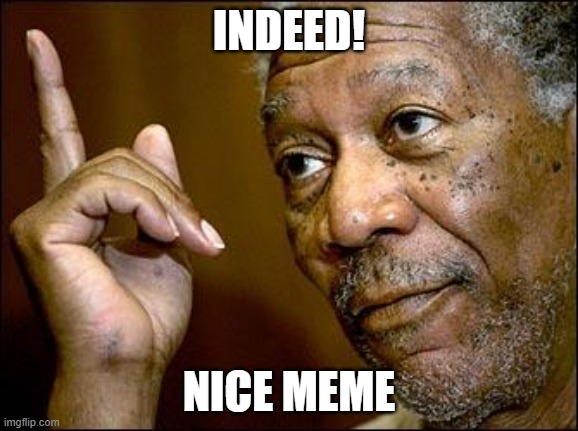 This Morgan Freeman | INDEED! NICE MEME | image tagged in this morgan freeman | made w/ Imgflip meme maker