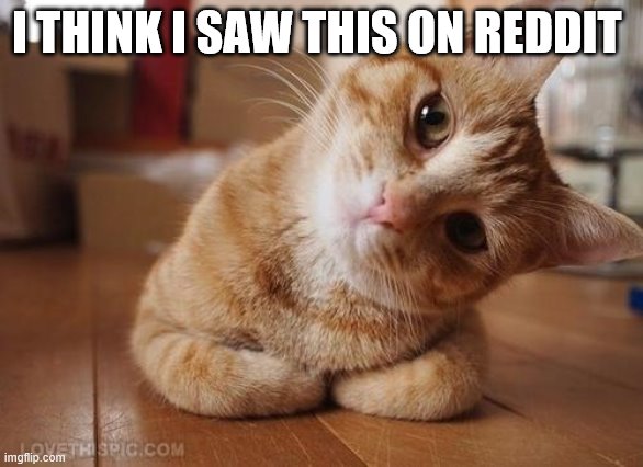 Curious Question Cat | I THINK I SAW THIS ON REDDIT | image tagged in curious question cat | made w/ Imgflip meme maker