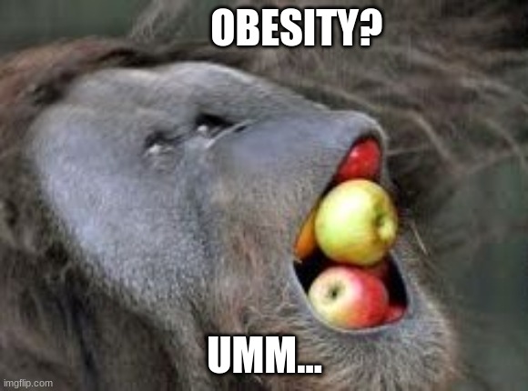 OBESITY? UMM... | made w/ Imgflip meme maker