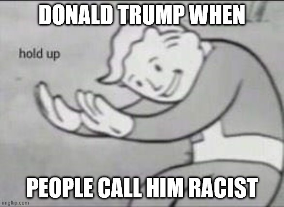 Fallout Hold Up | DONALD TRUMP WHEN; PEOPLE CALL HIM RACIST | image tagged in fallout hold up | made w/ Imgflip meme maker