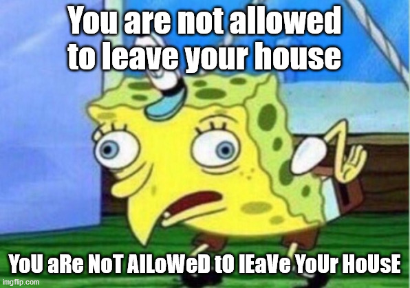 Mocking Spongebob Meme | You are not allowed to leave your house; YoU aRe NoT AlLoWeD tO lEaVe YoUr HoUsE | image tagged in memes,mocking spongebob | made w/ Imgflip meme maker
