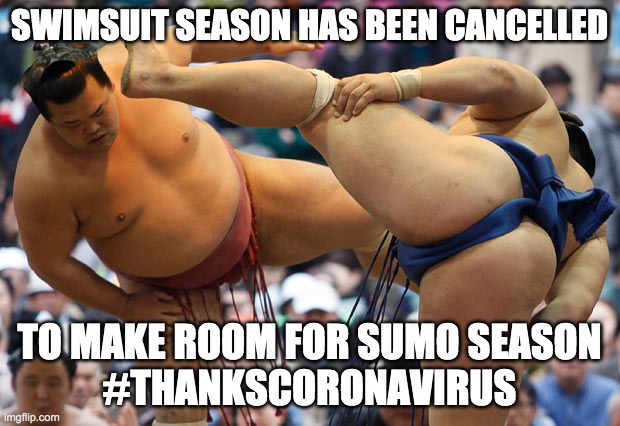 sumo stamping feet | SWIMSUIT SEASON HAS BEEN CANCELLED; TO MAKE ROOM FOR SUMO SEASON
#THANKSCORONAVIRUS | image tagged in sumo stamping feet | made w/ Imgflip meme maker