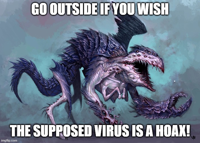 GO OUTSIDE IF YOU WISH; THE SUPPOSED VIRUS IS A HOAX! | made w/ Imgflip meme maker
