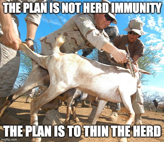 The plan is not herd immunity | THE PLAN IS NOT HERD IMMUNITY; THE PLAN IS TO THIN THE HERD | image tagged in the plan is not herd immunity | made w/ Imgflip meme maker