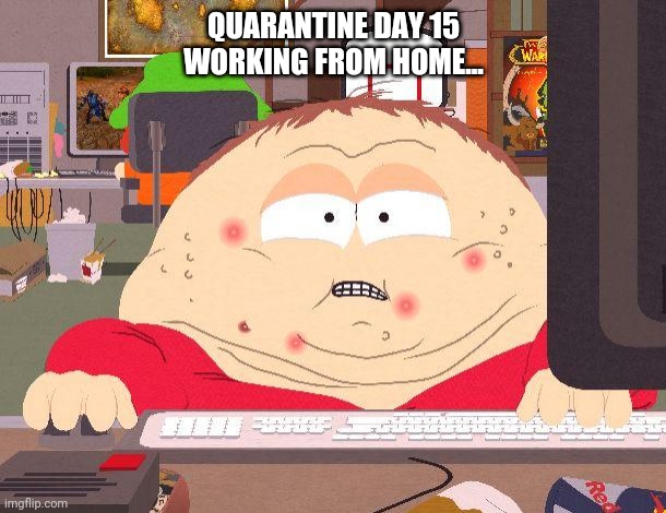 Cartman game | QUARANTINE DAY 15 WORKING FROM HOME... | image tagged in cartman game | made w/ Imgflip meme maker