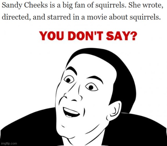 image tagged in memes,you don't say,funny,sandy cheeks,wtf | made w/ Imgflip meme maker