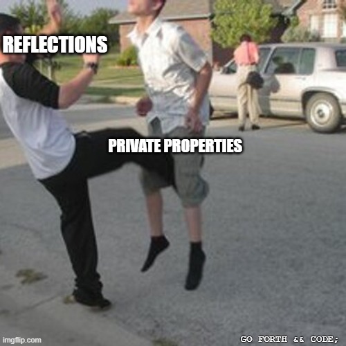 Kicked in the balls | REFLECTIONS; PRIVATE PROPERTIES; GO FORTH && CODE; | image tagged in programming,reflections,private,properties,code | made w/ Imgflip meme maker