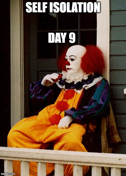 That Face You Make Pennywise | DAY 9; SELF ISOLATION | image tagged in that face you make pennywise | made w/ Imgflip meme maker