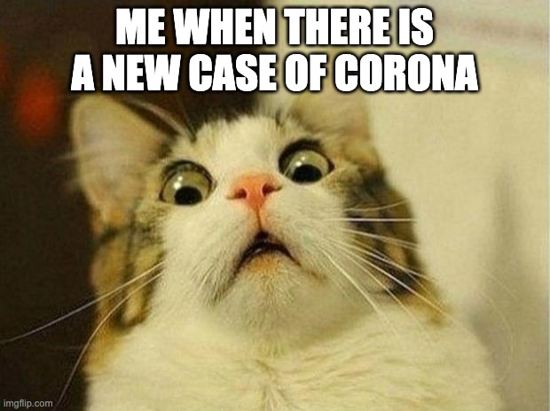 Scared Cat | ME WHEN THERE IS A NEW CASE OF CORONA | image tagged in memes,scared cat | made w/ Imgflip meme maker