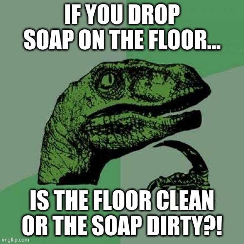Philosoraptor Meme | IF YOU DROP SOAP ON THE FLOOR... IS THE FLOOR CLEAN OR THE SOAP DIRTY?! | image tagged in memes,philosoraptor | made w/ Imgflip meme maker