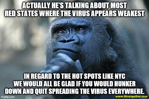 Deep Thoughts | ACTUALLY HE'S TALKING ABOUT MOST RED STATES WHERE THE VIRUS APPEARS WEAKEST IN REGARD TO THE HOT SPOTS LIKE NYC WE WOULD ALL BE GLAD IF YOU  | image tagged in deep thoughts | made w/ Imgflip meme maker