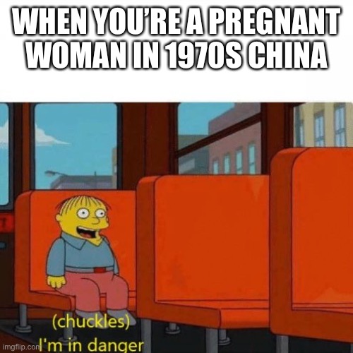 Chuckles, I’m in danger | WHEN YOU’RE A PREGNANT WOMAN IN 1970S CHINA | image tagged in chuckles im in danger | made w/ Imgflip meme maker