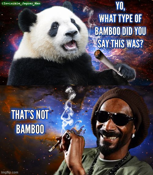 Snoop And The Panda Imgflip
