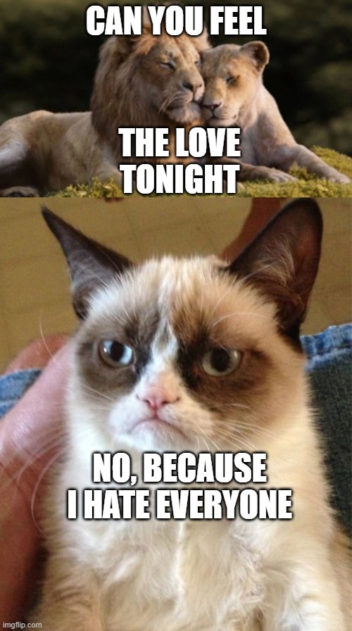 CAN YOU FEEL; THE LOVE TONIGHT; NO, BECAUSE I HATE EVERYONE | image tagged in memes,grumpy cat | made w/ Imgflip meme maker