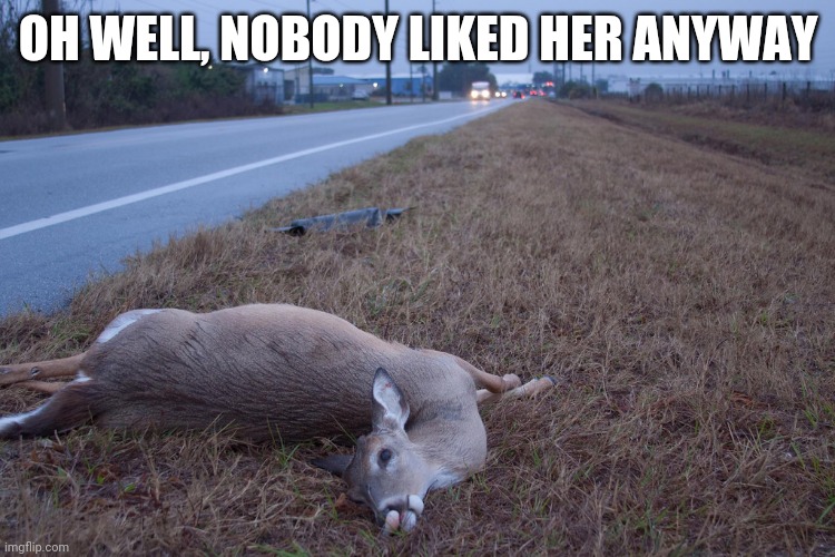 Dead Deer | OH WELL, NOBODY LIKED HER ANYWAY | image tagged in dead deer | made w/ Imgflip meme maker