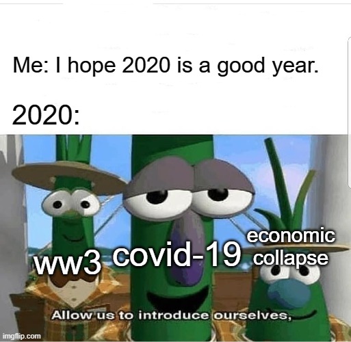 Allow us to introduce ourselves | Me: I hope 2020 is a good year. 2020:; economic collapse; covid-19; ww3 | image tagged in allow us to introduce ourselves | made w/ Imgflip meme maker