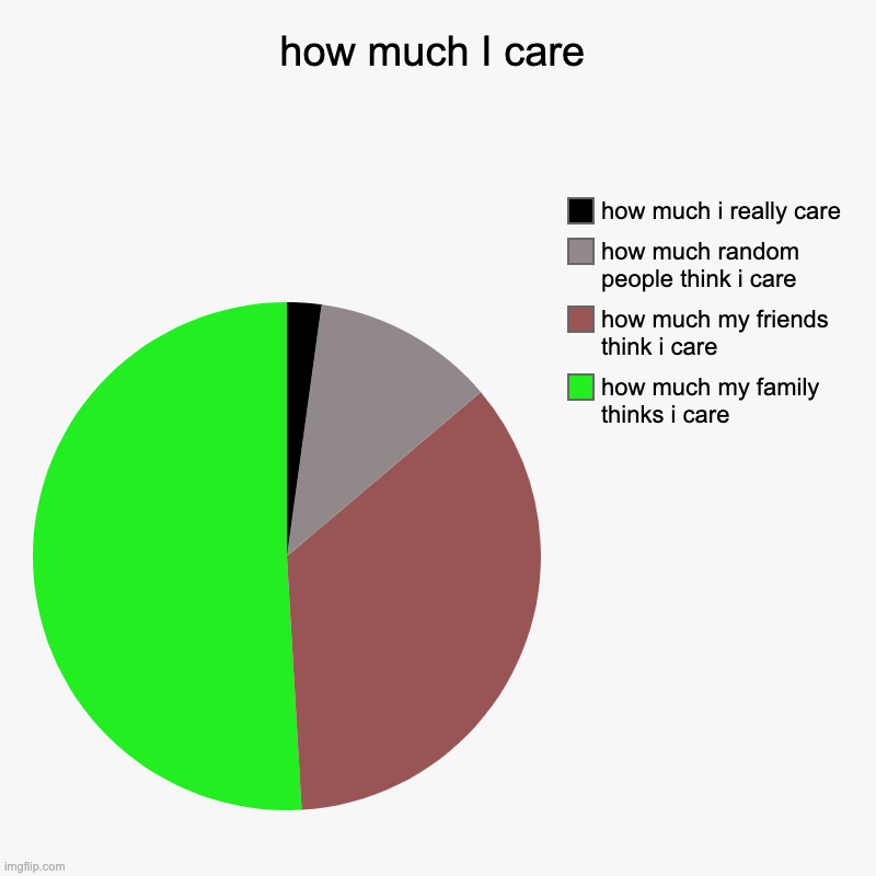 how much I care | how much my family thinks i care, how much my friends think i care, how much random people think i care, how much i really | image tagged in charts,pie charts | made w/ Imgflip chart maker