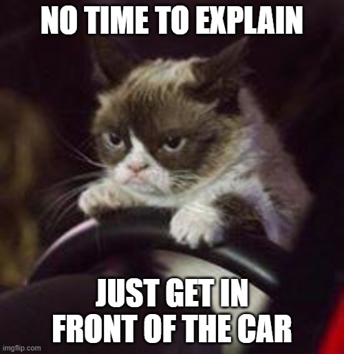 Grumpy Cat Car | NO TIME TO EXPLAIN; JUST GET IN FRONT OF THE CAR | image tagged in grumpy cat car | made w/ Imgflip meme maker
