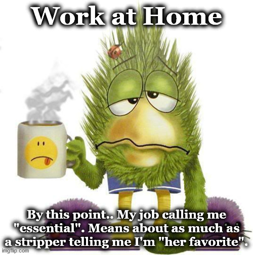 virus | Work at Home; By this point.. My job calling me "essential". Means about as much as a stripper telling me I'm "her favorite". | image tagged in virus | made w/ Imgflip meme maker