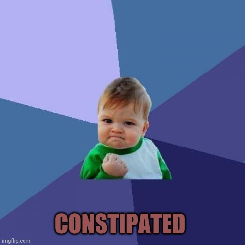 Success Kid Meme | CONSTIPATED | image tagged in memes,success kid | made w/ Imgflip meme maker