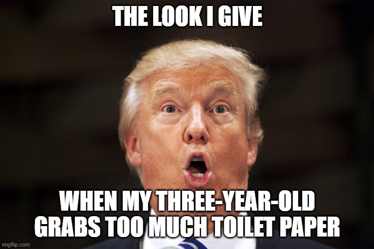 Toilet Paper Surprise | THE LOOK I GIVE; WHEN MY THREE-YEAR-OLD GRABS TOO MUCH TOILET PAPER | image tagged in toilet paper surprise | made w/ Imgflip meme maker