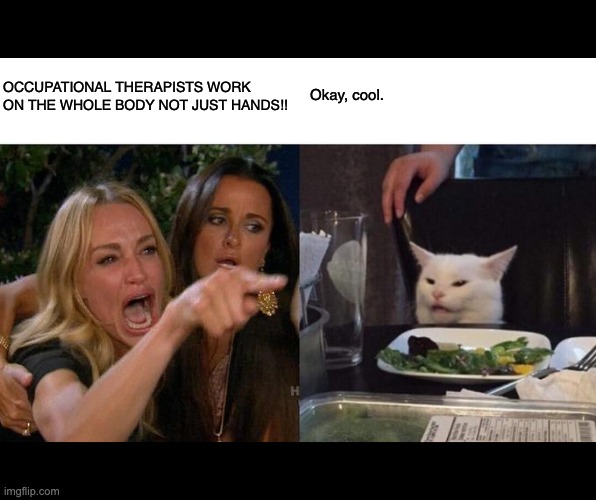 Woman Yelling At Cat Meme | Okay, cool. OCCUPATIONAL THERAPISTS WORK ON THE WHOLE BODY NOT JUST HANDS!! | image tagged in memes,woman yelling at cat | made w/ Imgflip meme maker