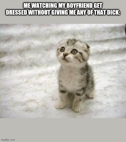 Sad Cat |  ME WATCHING MY BOYFRIEND GET DRESSED WITHOUT GIVING ME ANY OF THAT DICK: | image tagged in memes,sad cat | made w/ Imgflip meme maker