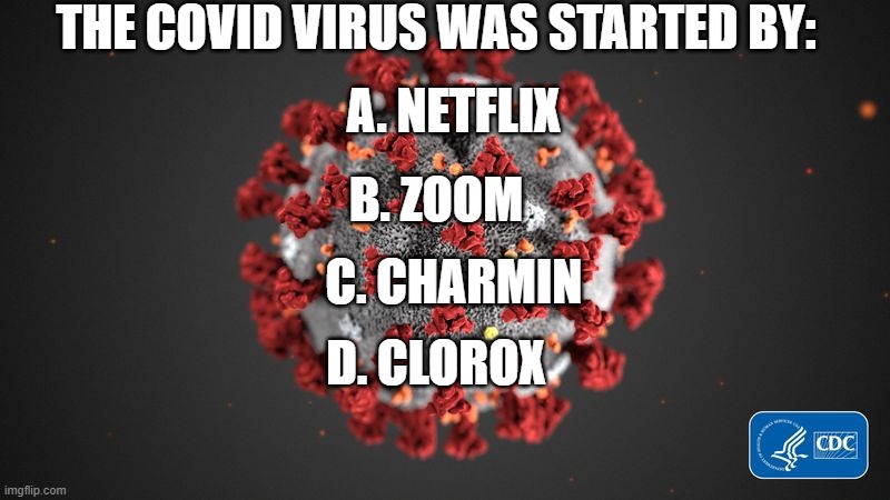 Covid 19 | THE COVID VIRUS WAS STARTED BY:; A. NETFLIX; B. ZOOM; C. CHARMIN; D. CLOROX | image tagged in covid 19 | made w/ Imgflip meme maker