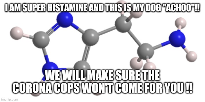 I AM SUPER HISTAMINE AND THIS IS MY DOG "ACHOO"!! WE WILL MAKE SURE THE CORONA COPS WON'T COME FOR YOU !! | image tagged in coronavirus,allergy,sneeze | made w/ Imgflip meme maker