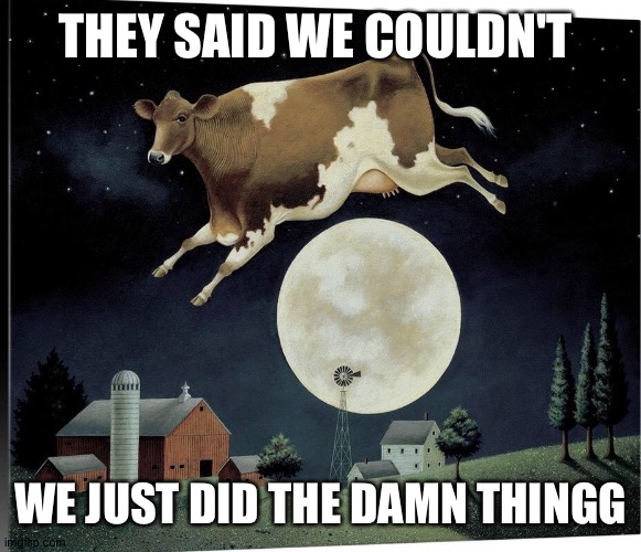 Cow jumped over the moon | THEY SAID WE COULDN'T; WE JUST DID THE DAMN THINGG | image tagged in perspective,google images,too damn high | made w/ Imgflip meme maker