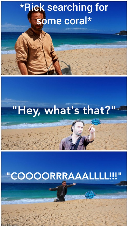 He just wants some coral... | image tagged in the walking dead coral,coral,the walking dead,rick grimes,rick and carl | made w/ Imgflip meme maker
