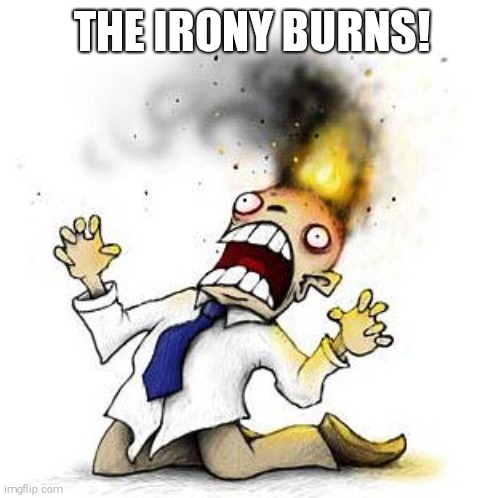 The Irony It Burns!!! | THE IRONY BURNS! | image tagged in the irony it burns | made w/ Imgflip meme maker
