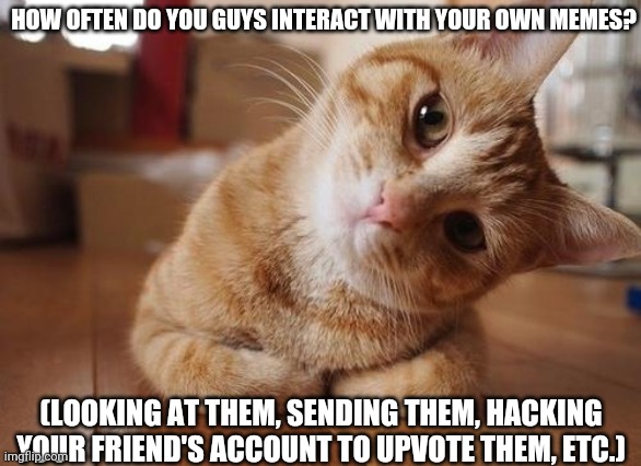 Curious Question Cat | HOW OFTEN DO YOU GUYS INTERACT WITH YOUR OWN MEMES? (LOOKING AT THEM, SENDING THEM, HACKING YOUR FRIEND'S ACCOUNT TO UPVOTE THEM, ETC.) | image tagged in curious question cat | made w/ Imgflip meme maker